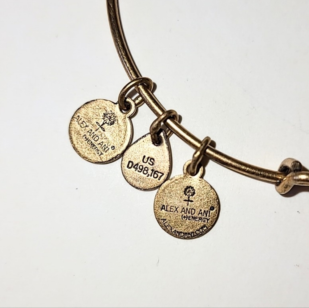 ALEX AND ANI NYC BIG APPLE CHARM BANGLE BRACELET - NEW YORK CITY - Picture 5 of 6